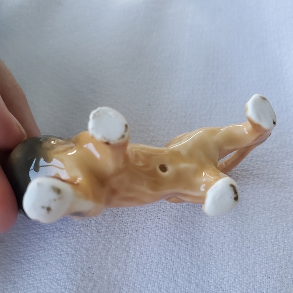 Lion lioness cub miniature - Picture 8 of 12